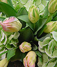 floral arrangements